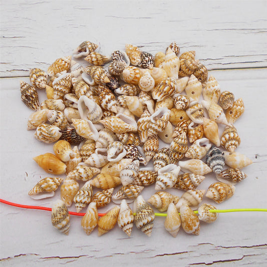 100g One Box of Drilled Hole Shell Conch Whelk for Craft DIY Jewelry Necklace Earring Bracelet Making Home Decoration Phone Frame Candle Making