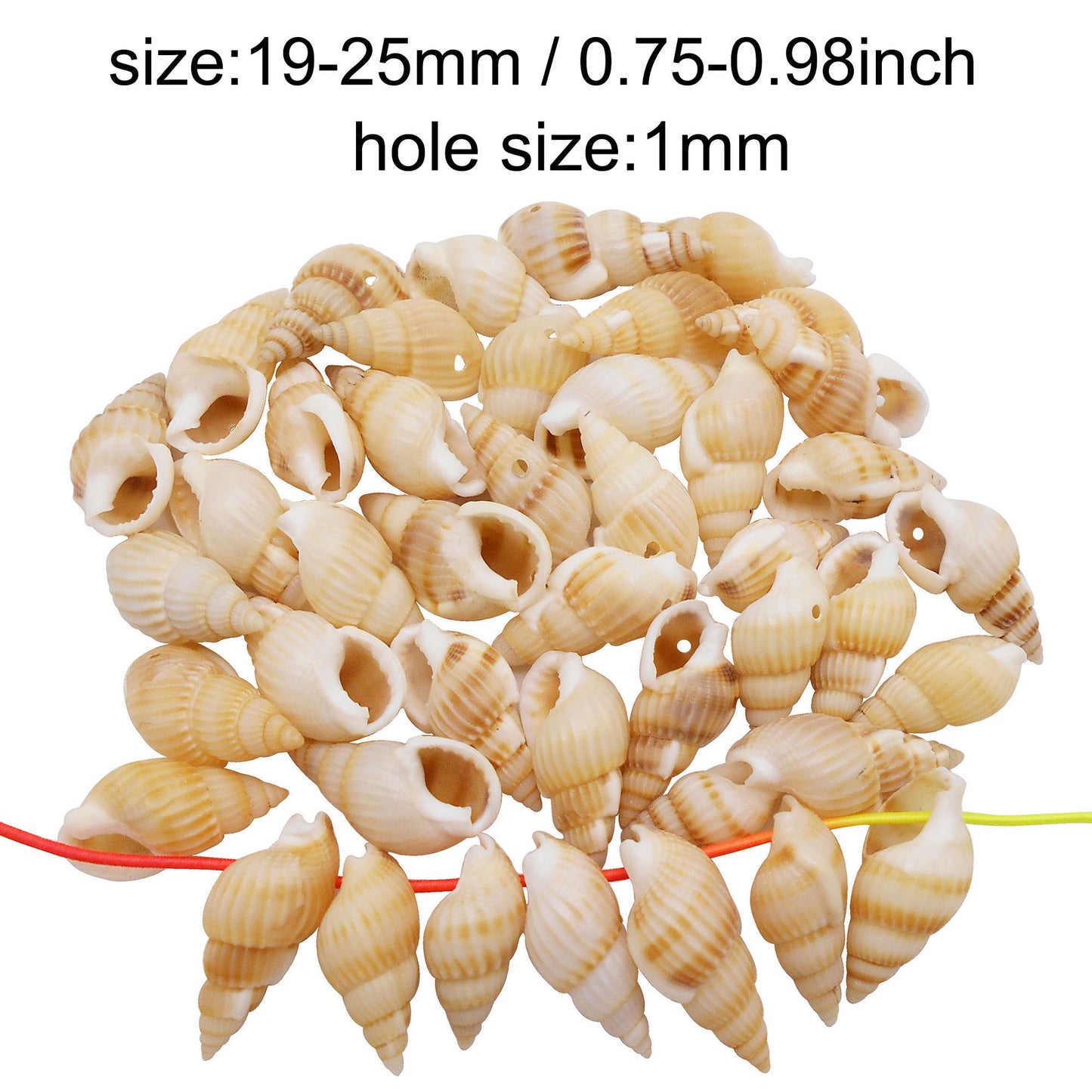 100g One Box of Drilled Hole Shell Conch Whelk for Craft DIY Jewelry Necklace Earring Bracelet Making Home Decoration Phone Frame Candle Making