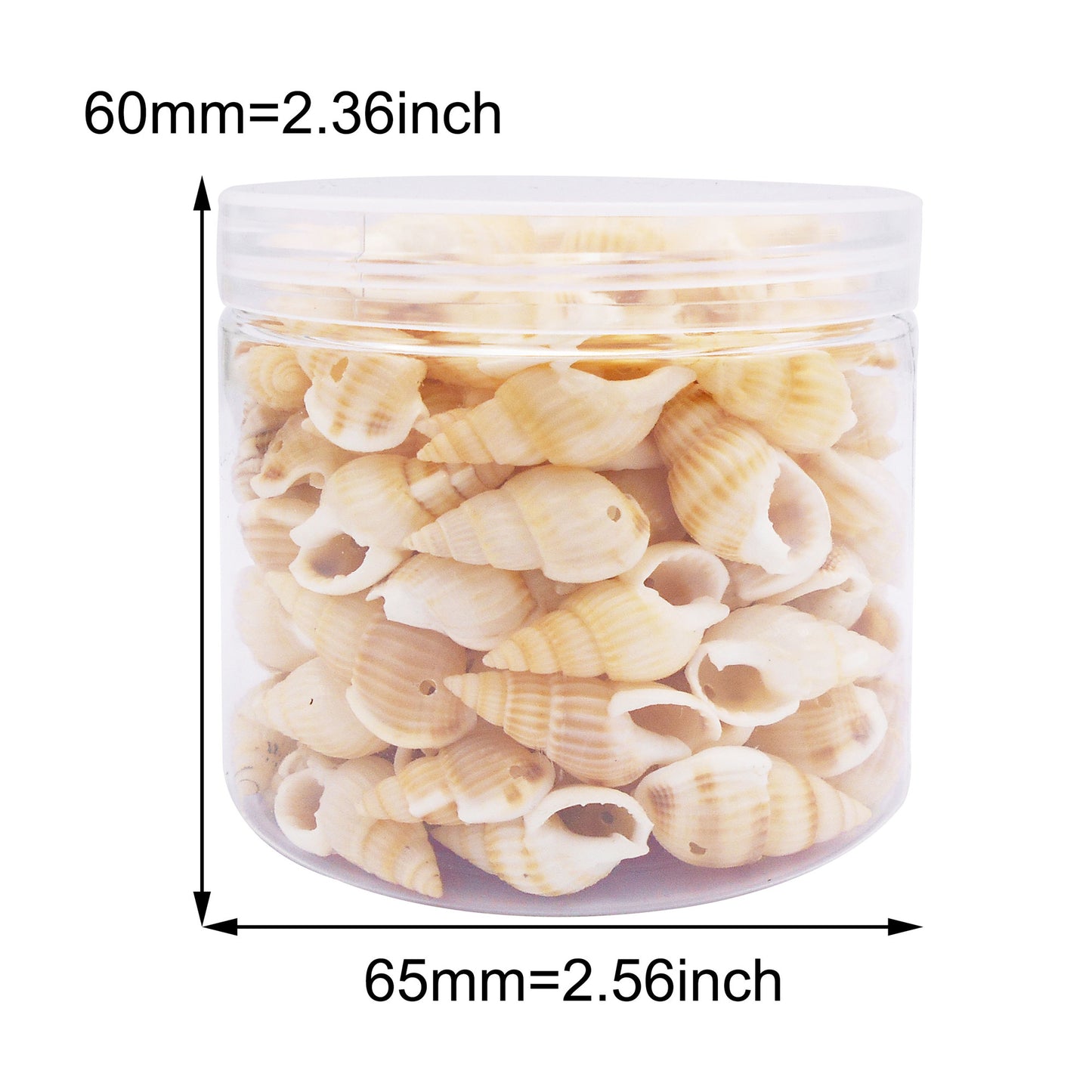 100g One Box of Drilled Hole Shell Conch Whelk for Craft DIY Jewelry Necklace Earring Bracelet Making Home Decoration Phone Frame Candle Making