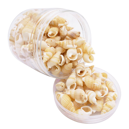 100g One Box of Drilled Hole Shell Conch Whelk for Craft DIY Jewelry Necklace Earring Bracelet Making Home Decoration Phone Frame Candle Making