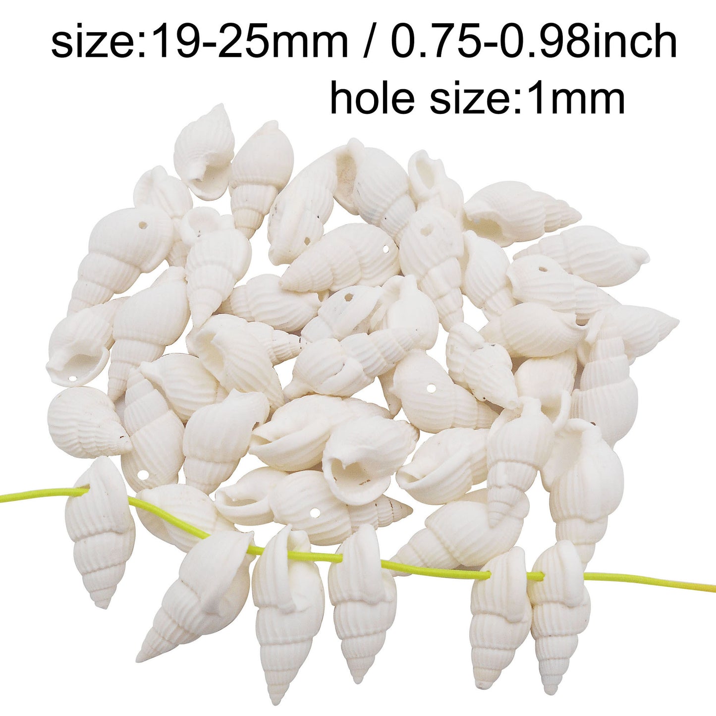 100g One Box of Drilled Hole Shell Conch Whelk for Craft DIY Jewelry Necklace Earring Bracelet Making Home Decoration Phone Frame Candle Making