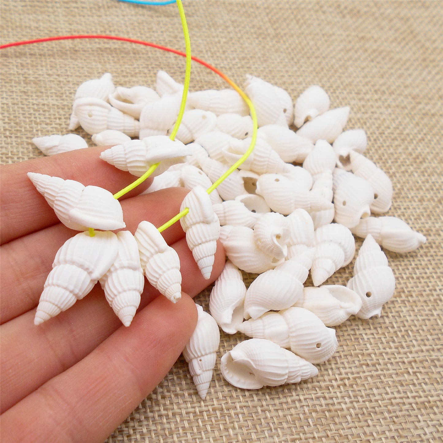 100g One Box of Drilled Hole Shell Conch Whelk for Craft DIY Jewelry Necklace Earring Bracelet Making Home Decoration Phone Frame Candle Making