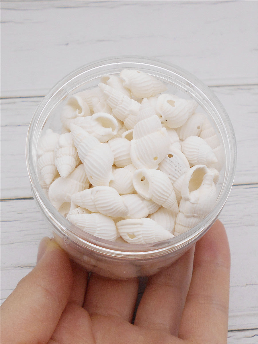 100g One Box of Drilled Hole Shell Conch Whelk for Craft DIY Jewelry Necklace Earring Bracelet Making Home Decoration Phone Frame Candle Making