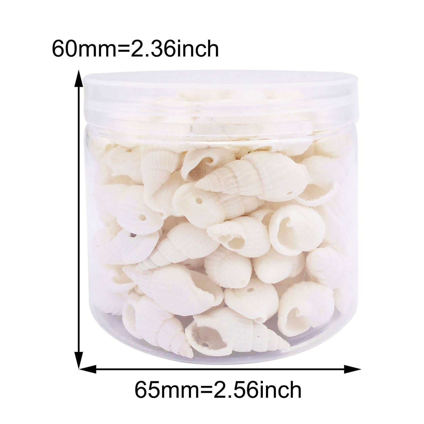 100g One Box of Drilled Hole Shell Conch Whelk for Craft DIY Jewelry Necklace Earring Bracelet Making Home Decoration Phone Frame Candle Making