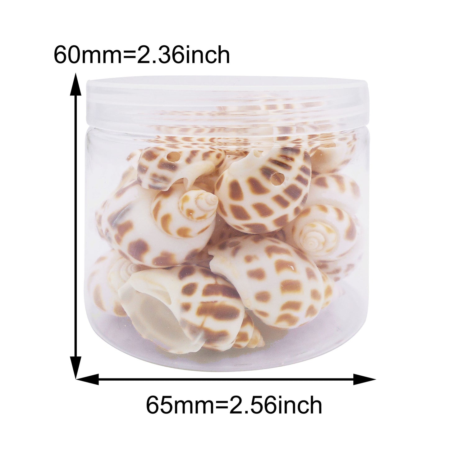 50g One Jar of Drilled Spotted Whelk Shell Sea Shell with Hole for Craft DIY Jewelry Necklace Earring Bracelet Making Home Decoration Phone Frame Candle Making 2-3cm