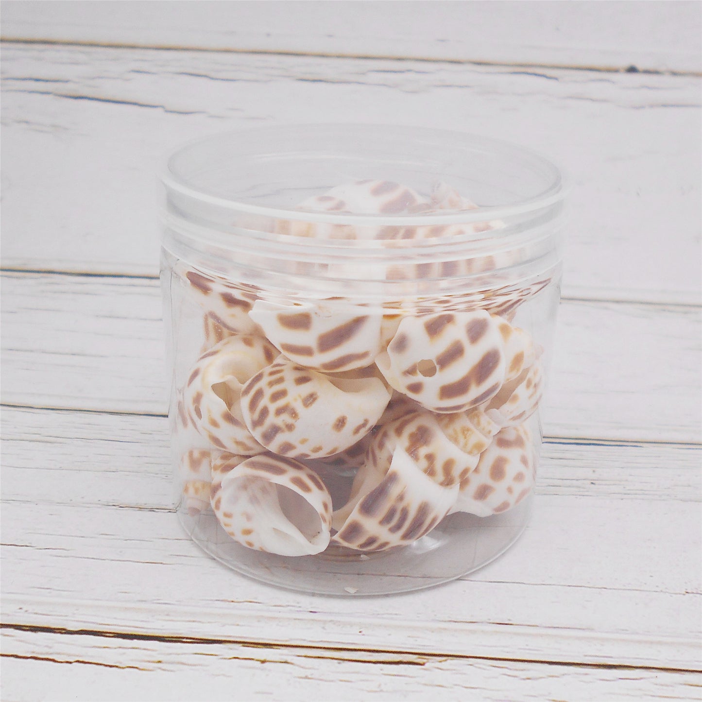 50g One Jar of Drilled Spotted Whelk Shell Sea Shell with Hole for Craft DIY Jewelry Necklace Earring Bracelet Making Home Decoration Phone Frame Candle Making 3-5cm