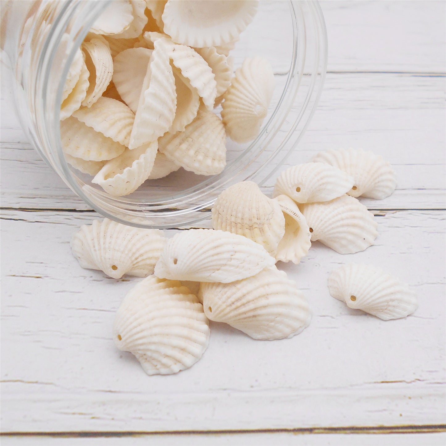 80g One Jar of Drilled Scallop Shell Sea Shell with Hole White for Craft DIY Jewelry Necklace Earring Bracelet Making Home Decoration Phone Frame Candle Making 2.5-3.5cm