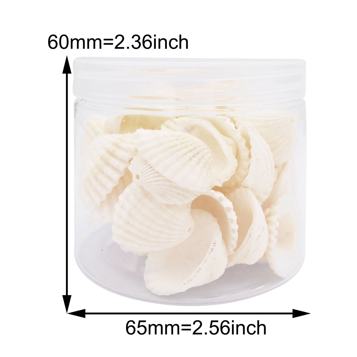 80g One Jar of Drilled Scallop Shell Sea Shell with Hole White for Craft DIY Jewelry Necklace Earring Bracelet Making Home Decoration Phone Frame Candle Making 2.5-3.5cm