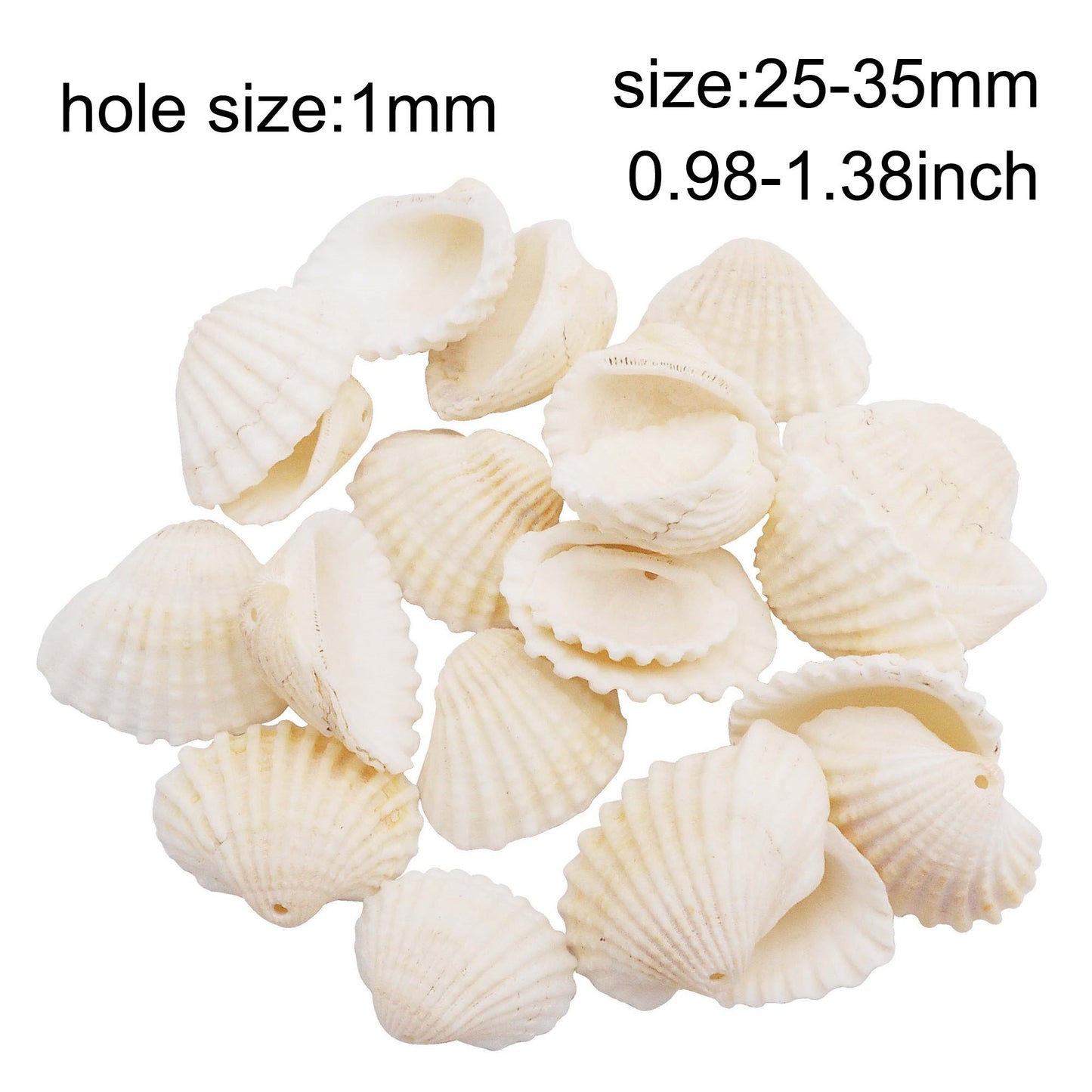 80g One Jar of Drilled Scallop Shell Sea Shell with Hole White for Craft DIY Jewelry Necklace Earring Bracelet Making Home Decoration Phone Frame Candle Making 2.5-3.5cm