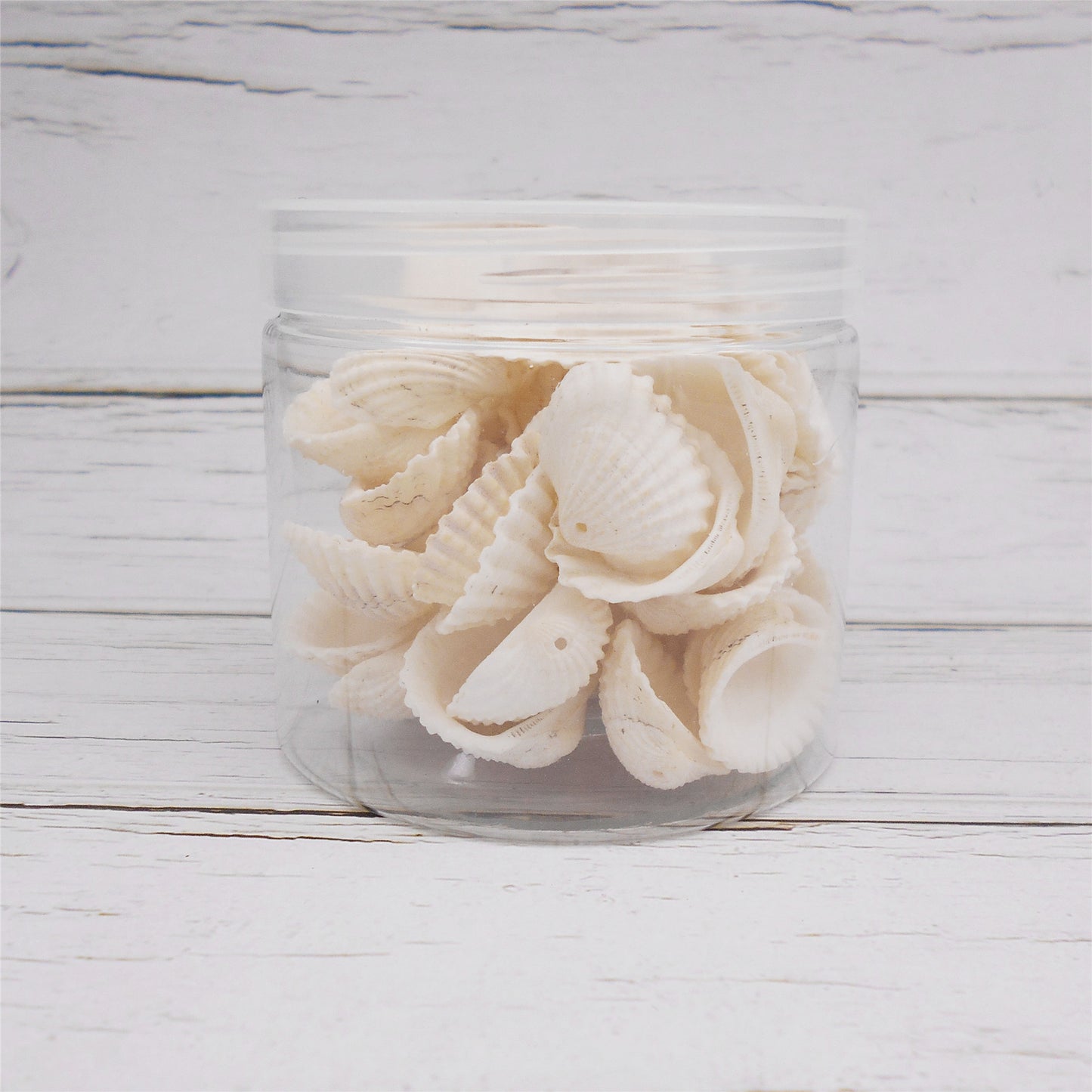 80g One Jar of Drilled Scallop Shell Sea Shell with Hole White for Craft DIY Jewelry Necklace Earring Bracelet Making Home Decoration Phone Frame Candle Making 2.5-3.5cm