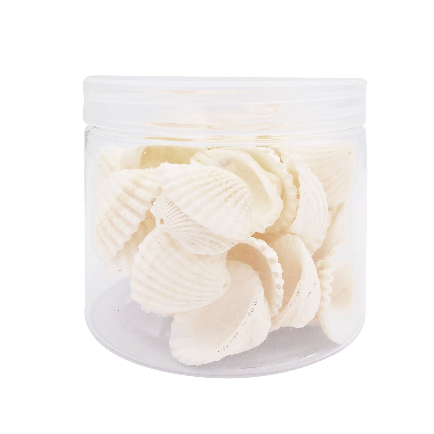 80g One Jar of Drilled Scallop Shell Sea Shell with Hole White for Craft DIY Jewelry Necklace Earring Bracelet Making Home Decoration Phone Frame Candle Making  2-2.5cm