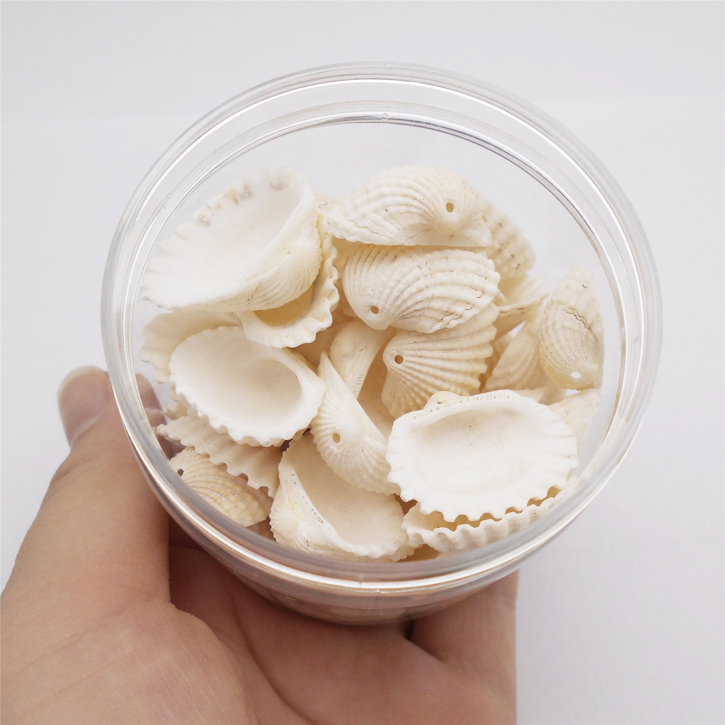 80g One Jar of Drilled Scallop Shell Sea Shell with Hole White for Craft DIY Jewelry Necklace Earring Bracelet Making Home Decoration Phone Frame Candle Making  2-2.5cm