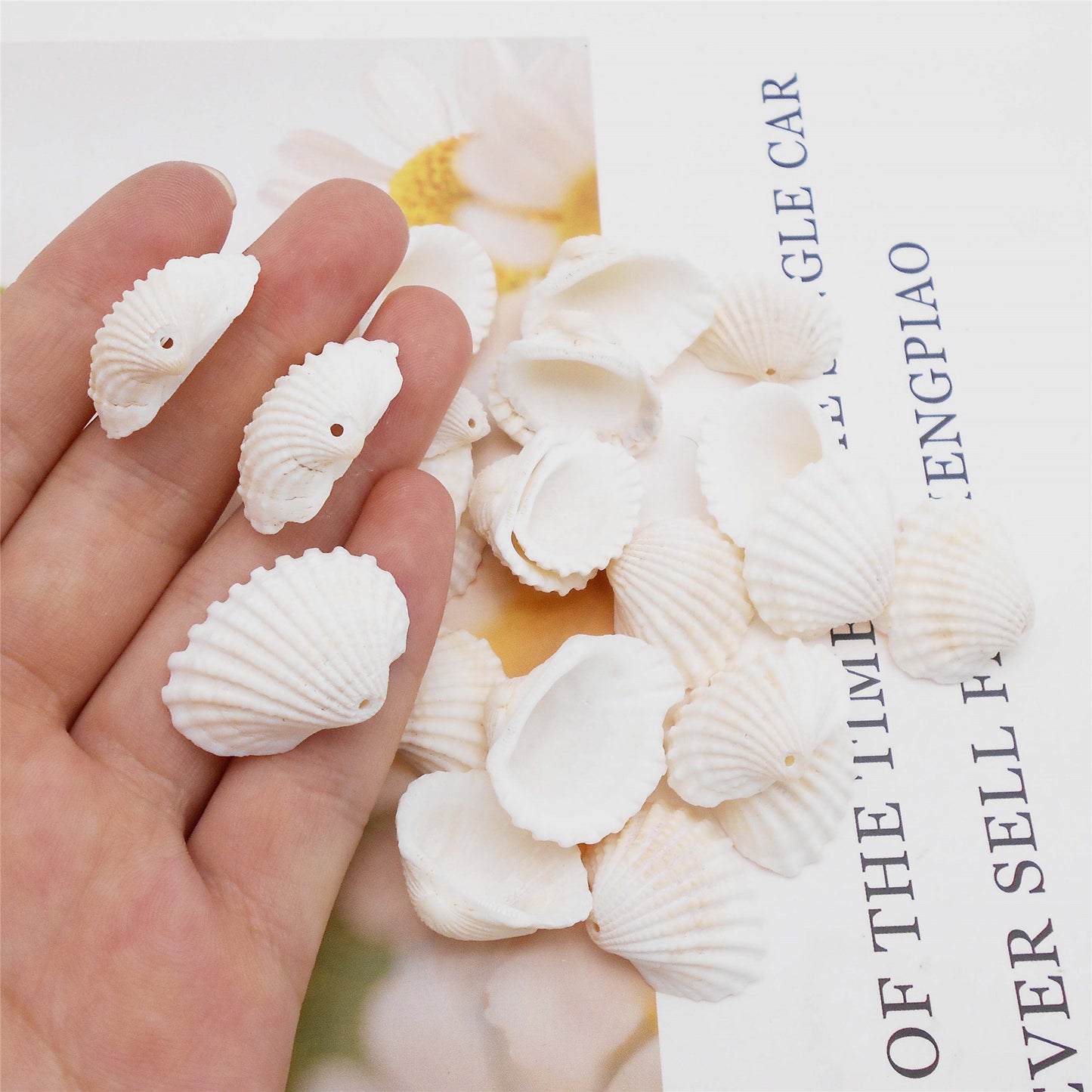 80g One Jar of Drilled Scallop Shell Sea Shell with Hole White for Craft DIY Jewelry Necklace Earring Bracelet Making Home Decoration Phone Frame Candle Making  2-2.5cm