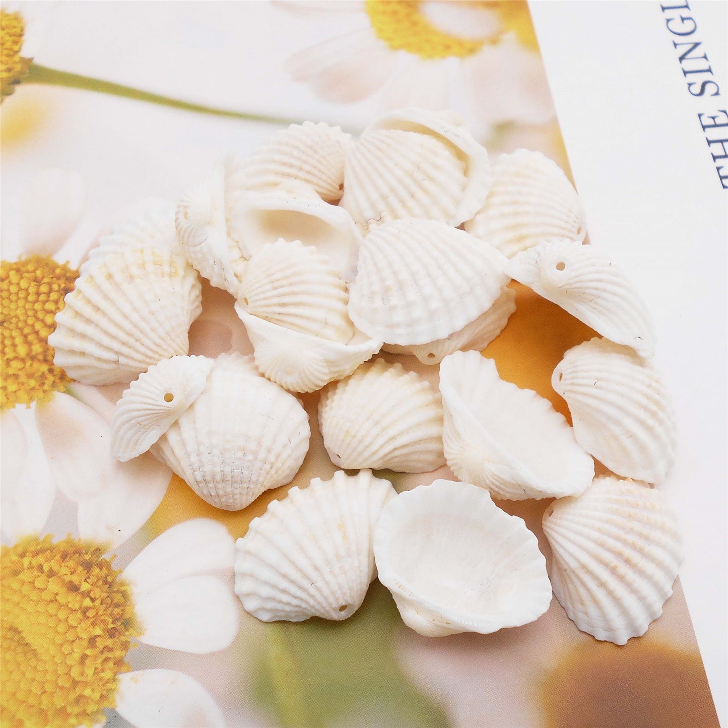 80g One Jar of Drilled Scallop Shell Sea Shell with Hole White for Craft DIY Jewelry Necklace Earring Bracelet Making Home Decoration Phone Frame Candle Making  2-2.5cm