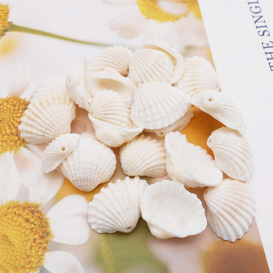 80g One Jar of Drilled Scallop Shell Sea Shell with Hole White for Craft DIY Jewelry Necklace Earring Bracelet Making Home Decoration Phone Frame Candle Making 2.5-3.5cm