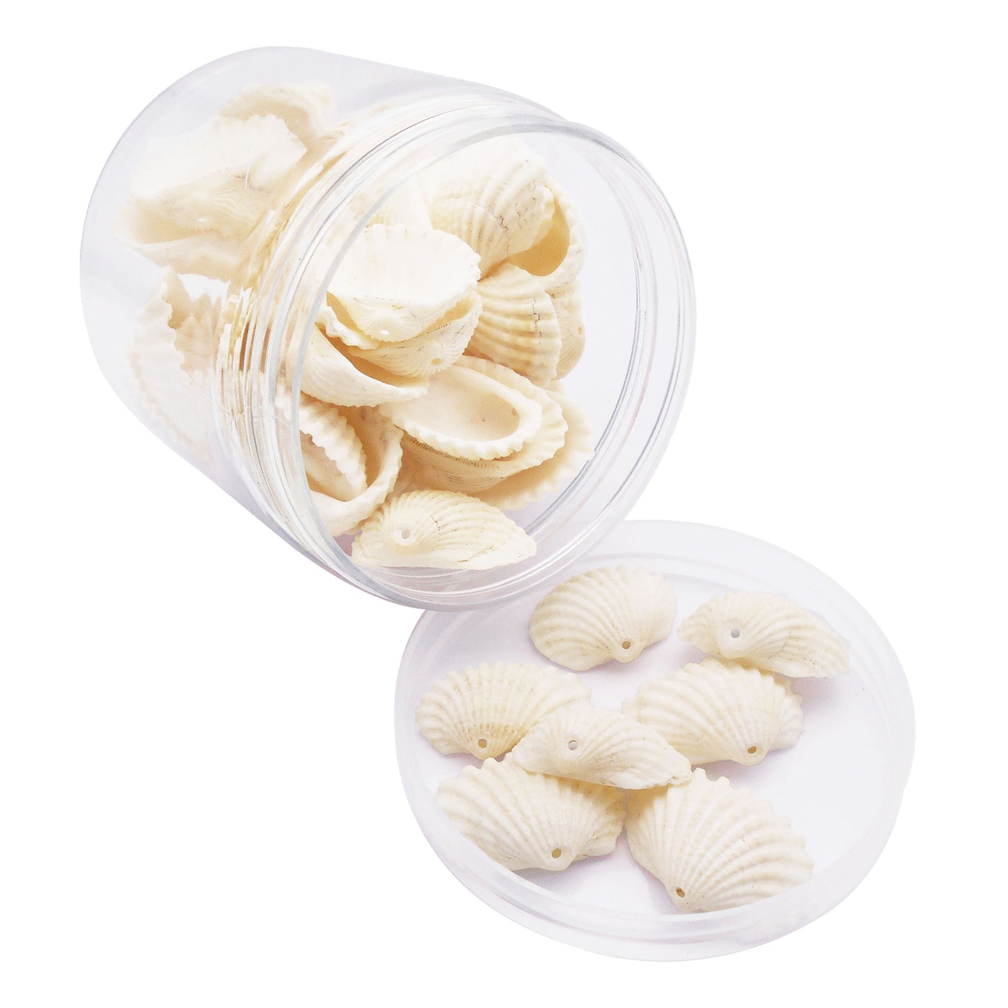 80g One Jar of Drilled Scallop Shell Sea Shell with Hole White for Craft DIY Jewelry Necklace Earring Bracelet Making Home Decoration Phone Frame Candle Making  2-2.5cm