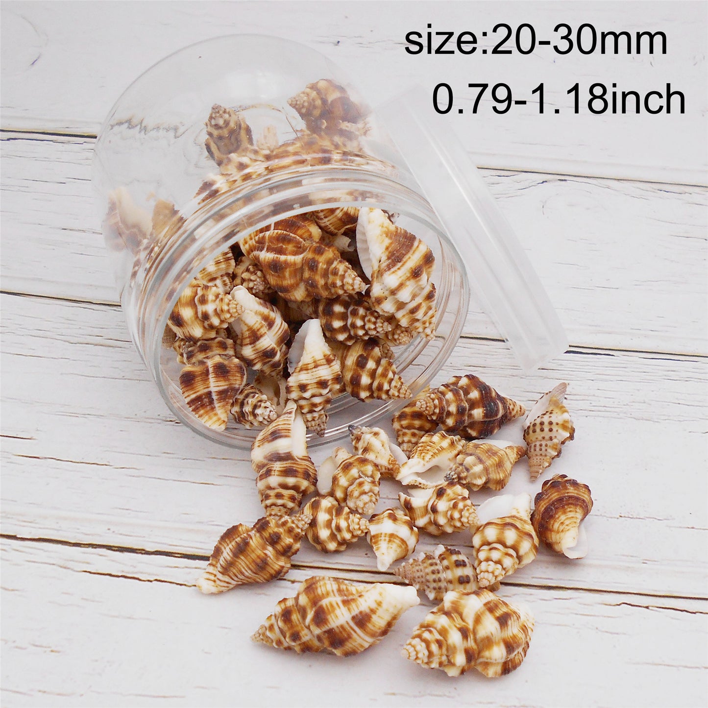 70g One Jar of Brown Whelk Shell Sea Shell for Craft DIY Jewelry Necklace Earring Bracelet Making Home Decoration Phone Frame Candle Making 2-3cm