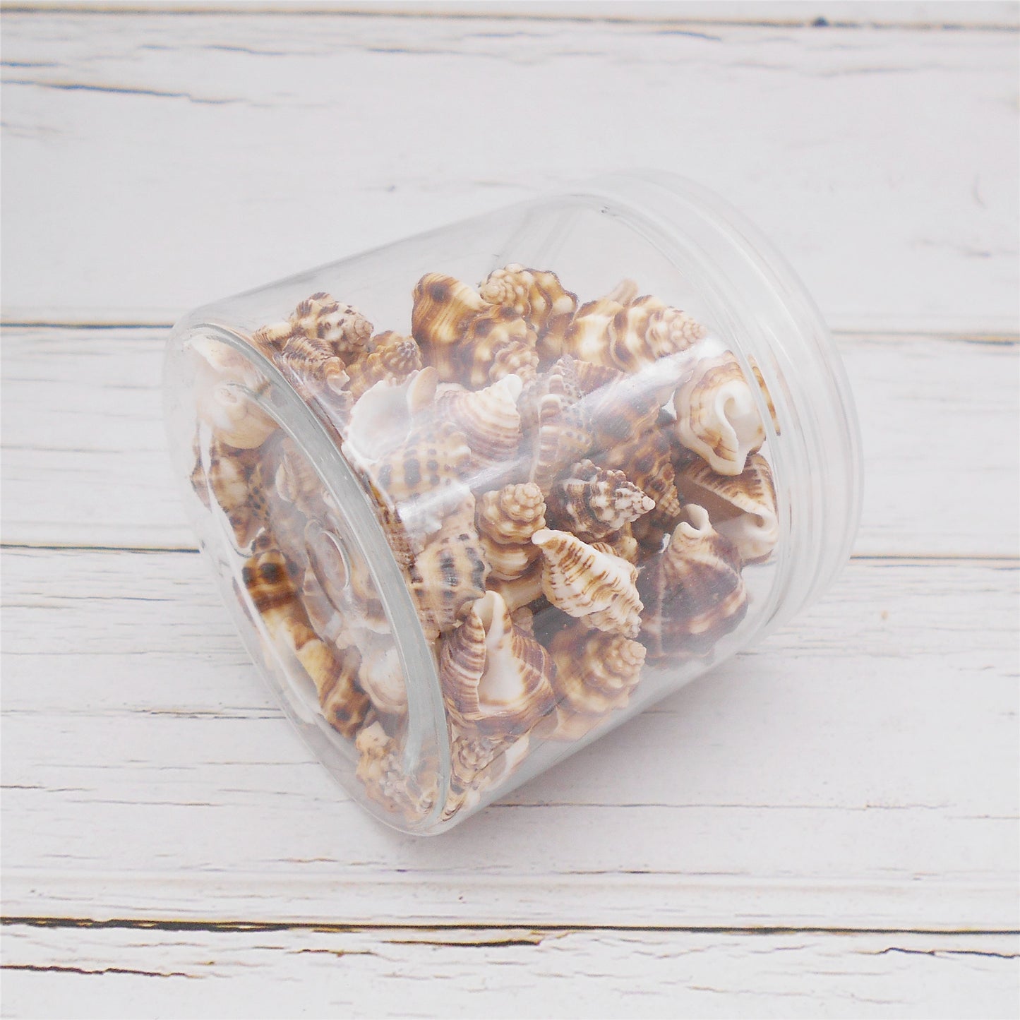 70g One Jar of Brown Whelk Shell Sea Shell for Craft DIY Jewelry Necklace Earring Bracelet Making Home Decoration Phone Frame Candle Making 2-3cm