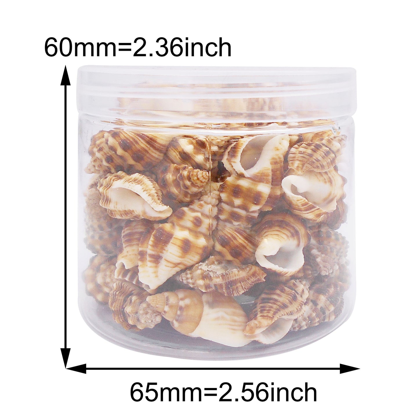 70g One Jar of Brown Whelk Shell Sea Shell for Craft DIY Jewelry Necklace Earring Bracelet Making Home Decoration Phone Frame Candle Making 2-3cm