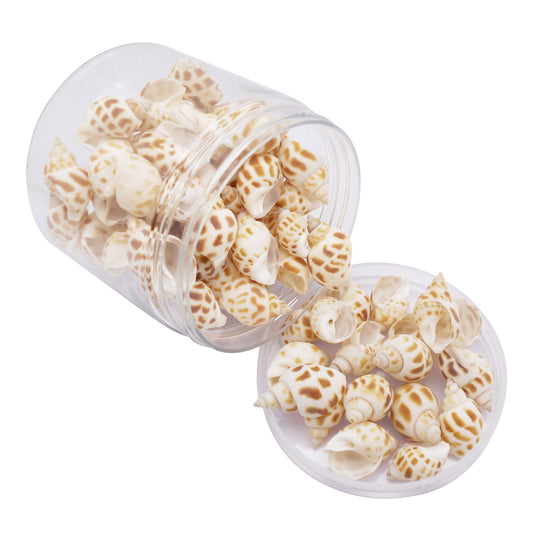 60g One Jar of Spotted Whelk Shell Sea Shell for Craft DIY Jewelry Necklace Earring Bracelet Making Home Decoration Phone Frame Candle Making 2-3cm