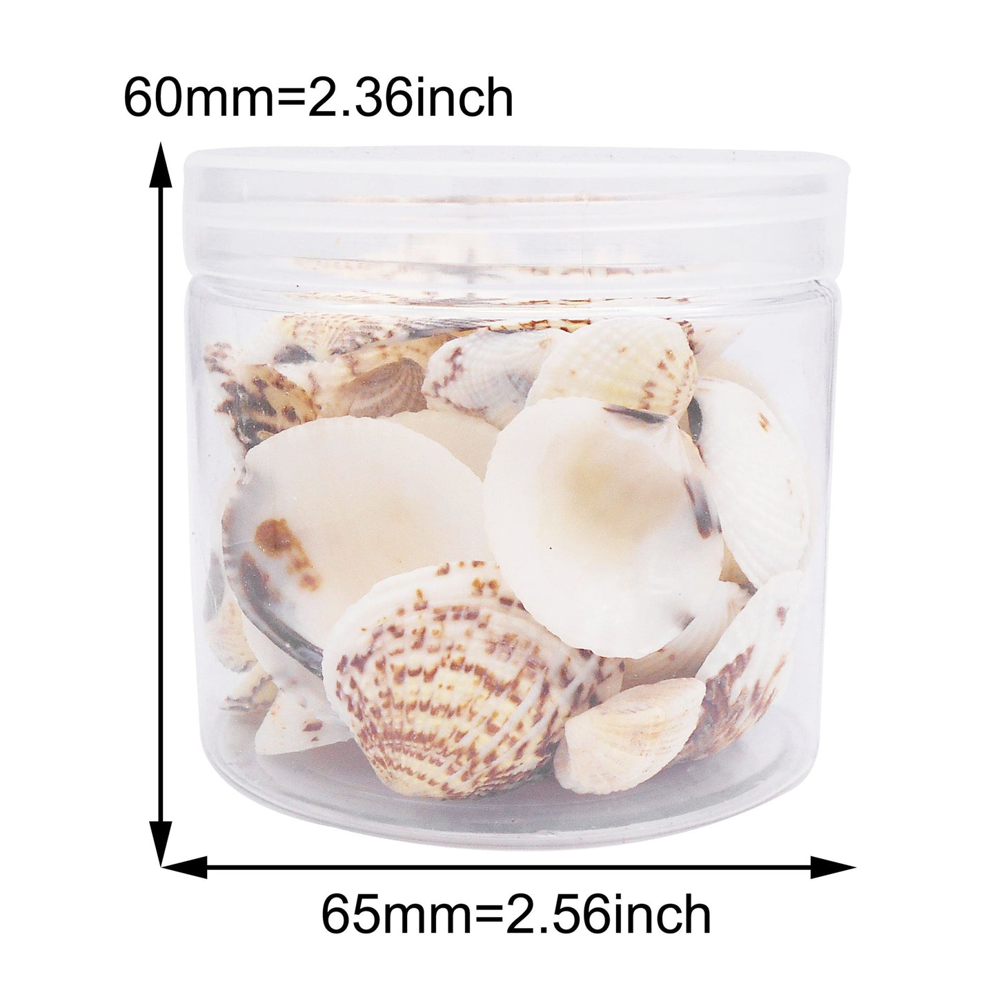 90g One Jar of Scallop Shell Sea Shell for Craft DIY Jewelry Necklace Earring Bracelet Making Home Decoration Phone Frame Candle Making