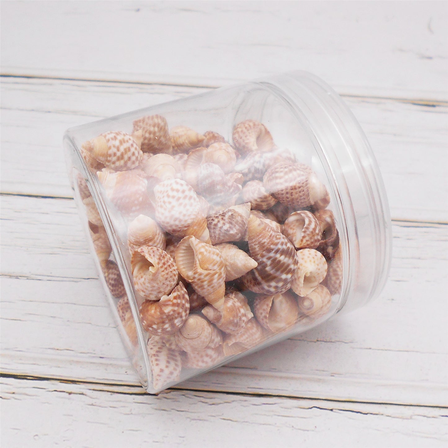 90g One Jar of Beige Whelk Shell Sea Shell for Craft DIY Jewelry Necklace Earring Bracelet Making Home Decoration Phone Frame Candle Making