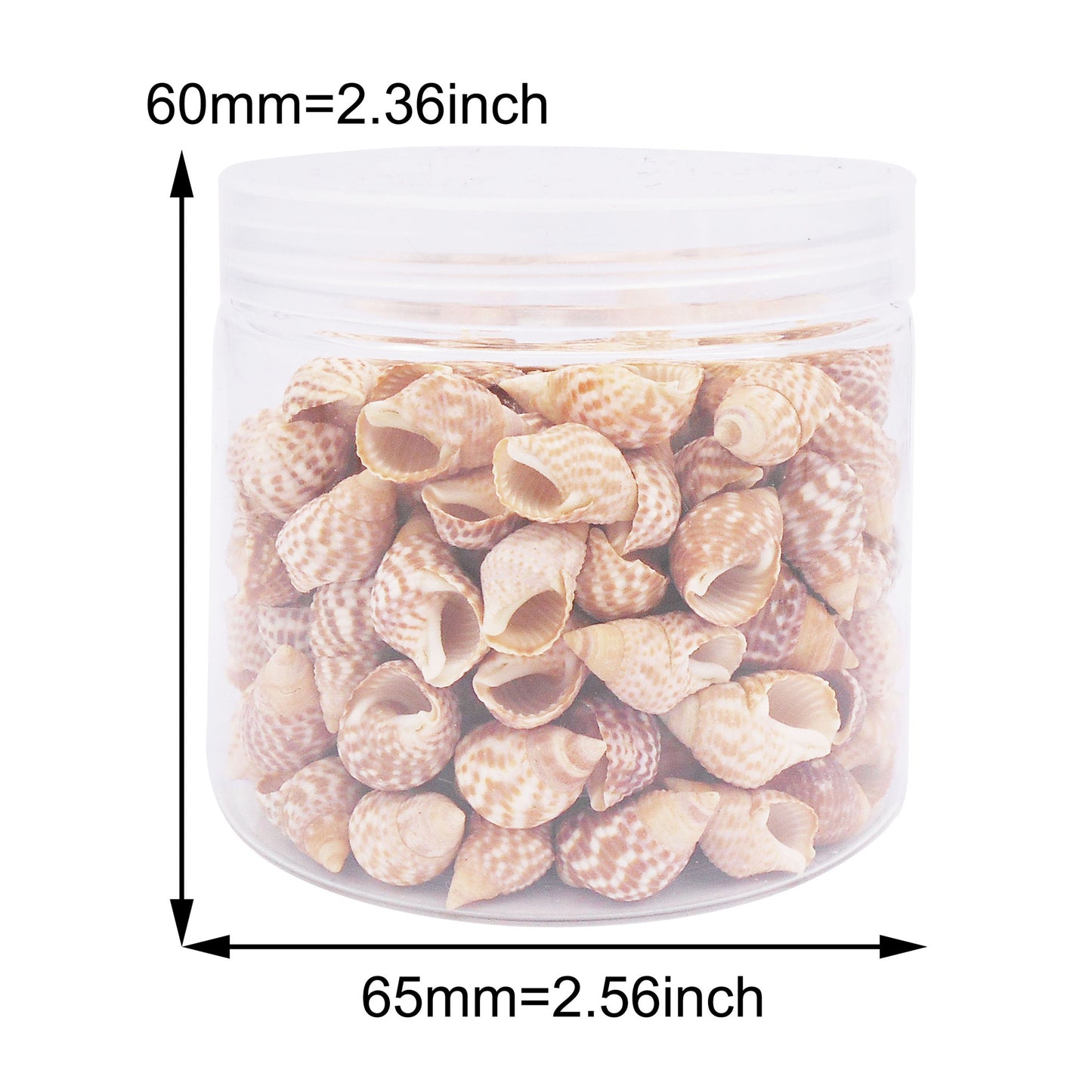 90g One Jar of Beige Whelk Shell Sea Shell for Craft DIY Jewelry Necklace Earring Bracelet Making Home Decoration Phone Frame Candle Making