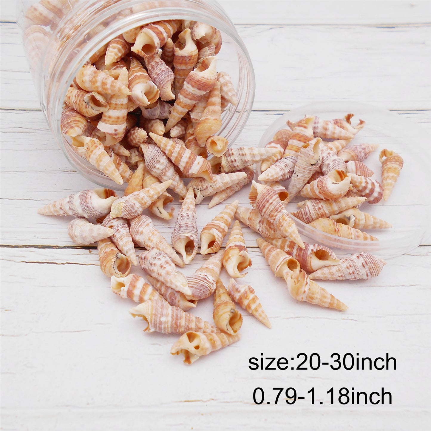 100g One Jar of Long Beige Whelk Shell Sea Shell for Craft DIY Jewelry Necklace Earring Bracelet Making Home Decoration Phone Frame Candle Making