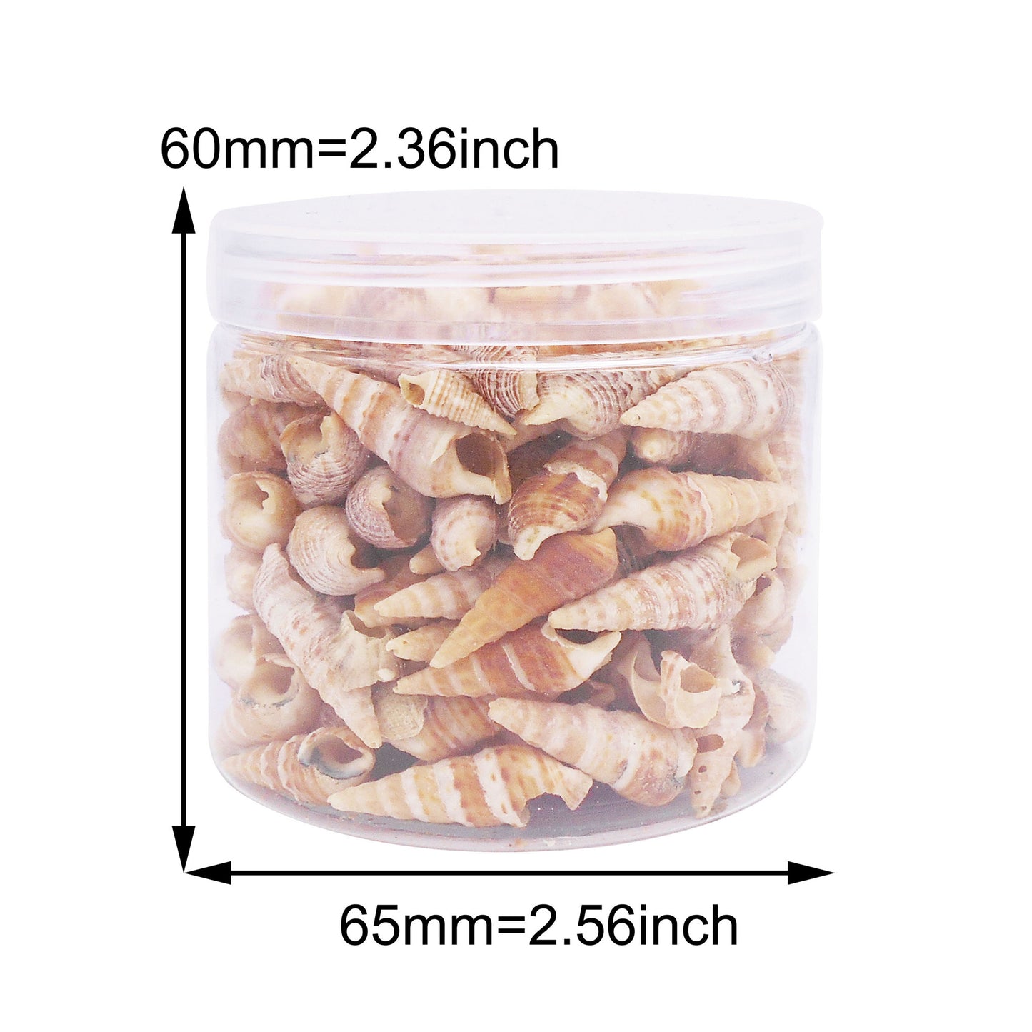 100g One Jar of Long Beige Whelk Shell Sea Shell for Craft DIY Jewelry Necklace Earring Bracelet Making Home Decoration Phone Frame Candle Making