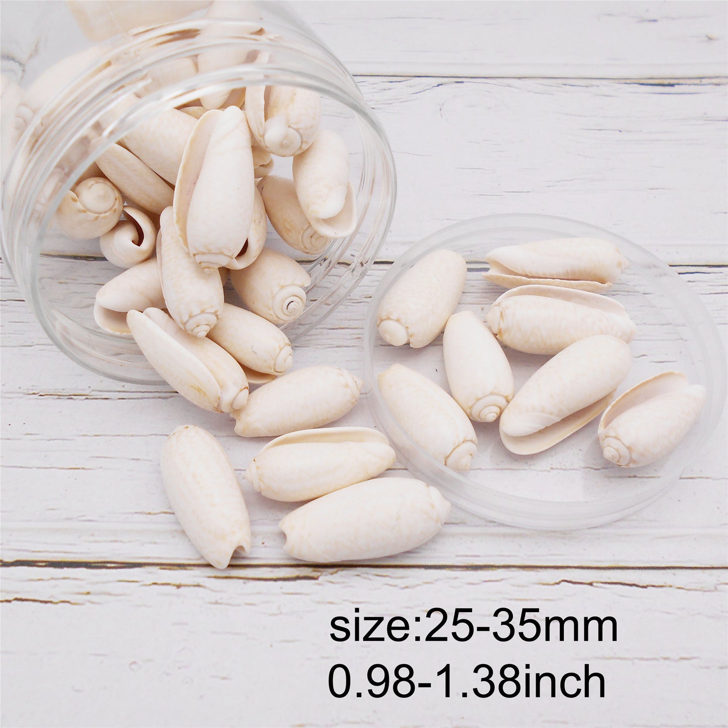 90g One Jar of White Whelk Shell Sea Shell for Craft DIY Jewelry Necklace Earring Bracelet Making Home Decoration Phone Frame Candle Making