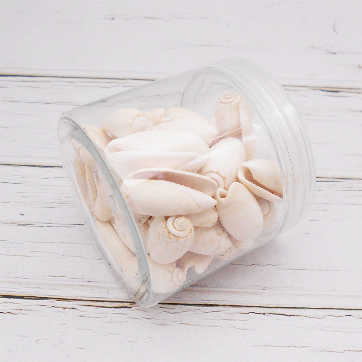 90g One Jar of White Whelk Shell Sea Shell for Craft DIY Jewelry Necklace Earring Bracelet Making Home Decoration Phone Frame Candle Making