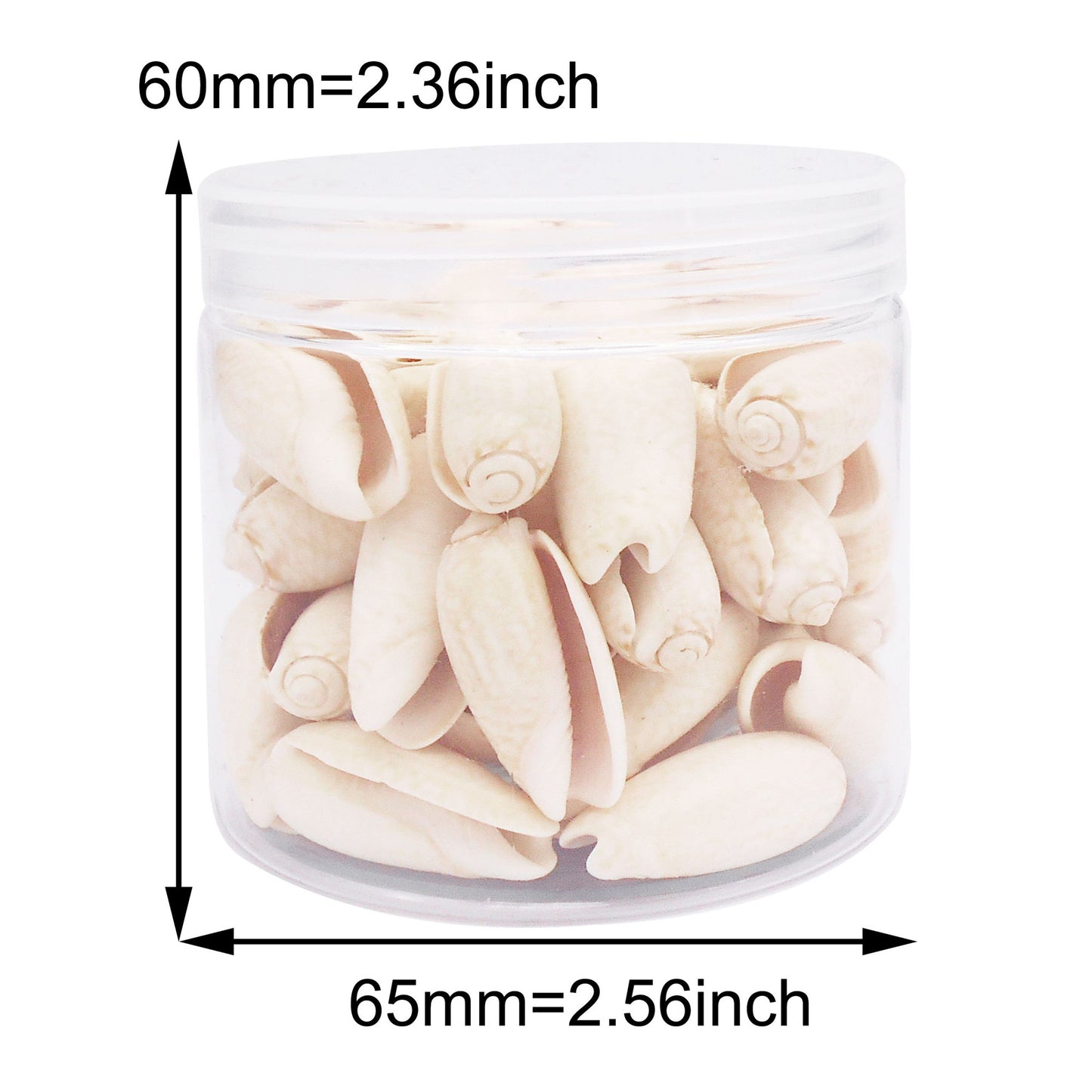 90g One Jar of White Whelk Shell Sea Shell for Craft DIY Jewelry Necklace Earring Bracelet Making Home Decoration Phone Frame Candle Making