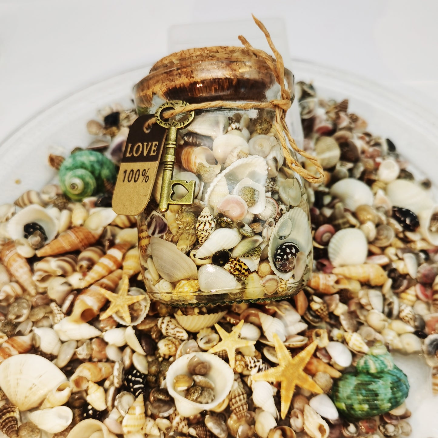 Glass Wishing Bottle Jar with Shells Conch Seashell Starfish Cork Lid Stopper Rope Key for DIY Crafts Gifts Party Wedding Decoration