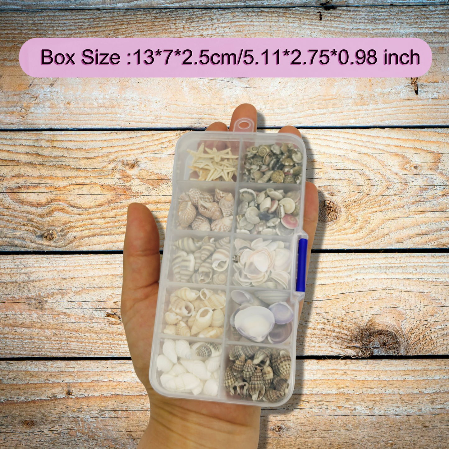 1 Box 400 PCS Natural Starfish Sea Shells Conch Seashells for Ocean Beach Theme Party Decoration Jewelry Making Candle Crafts DIY Fish Tank Vase Filler Tiny Small