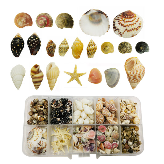 1 Box 230 PCS Natural Starfish Sea Shells Conch Seashells for Ocean Beach Theme Party Decoration Jewelry Making Candle Crafts DIY Fish Tank Vase Filler Tiny Small