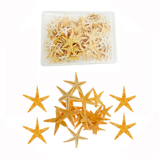 110 PCS Natural Starfish Tiny Small Sea Star Micro-Landscape Beach Wedding Nautical Ornament Shells Resin Craft DIY Vase Filler Accessory 0.39 to 0.78 inches